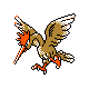 fearow