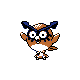 hoothoot