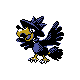 murkrow