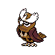 noctowl
