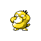 psyduck