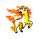 rapidash