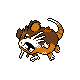 raticate