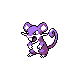 rattata