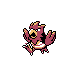 spearow