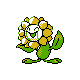 sunflora