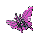 venomoth
