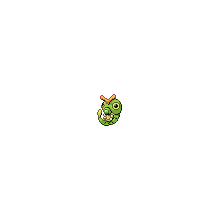 caterpie