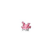 corsola