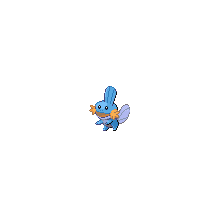 mudkip