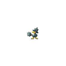 murkrow
