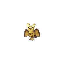 noctowl