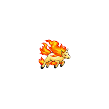 rapidash