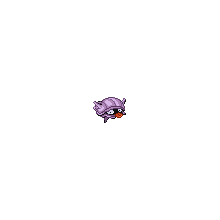 shellder