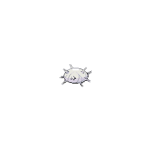 silcoon