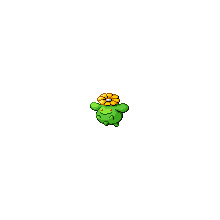 skiploom