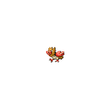 spearow