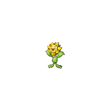 sunflora