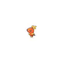 torchic