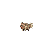 zigzagoon