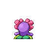 bellossom
