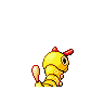 caterpie