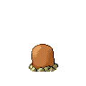 diglett