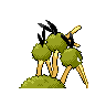dodrio