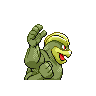 machamp