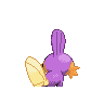 mudkip