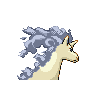 rapidash