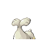 seel