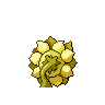 sunflora