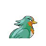 swellow