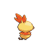 torchic