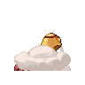 torkoal