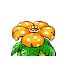 venusaur