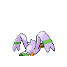 wingull
