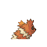 zigzagoon