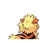 arcanine