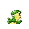 bayleef
