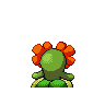 bellossom