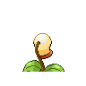 bellsprout