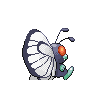butterfree