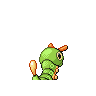 caterpie