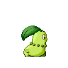 chikorita