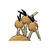 dodrio