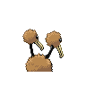 doduo