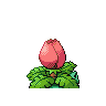 ivysaur