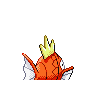 magikarp